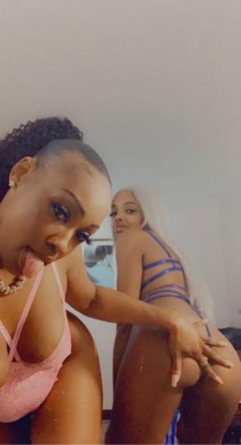 6292549843, female escort, Nashville